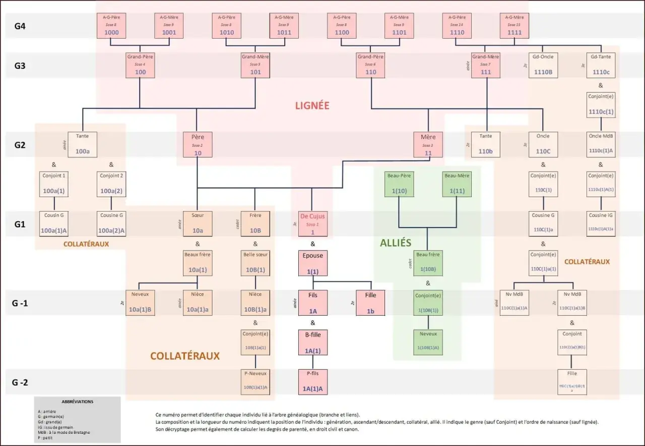 Arbre généalogique complexe, montrant la lignée, les alliés et les collatéraux. Ce schéma aide à la généalogie et à la compréhension des liens familiaux, comme pour l'état civil.