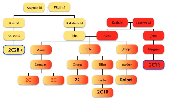 Arbre généalogique avec des noms et des liens familiaux, utilisant des formes colorées.
